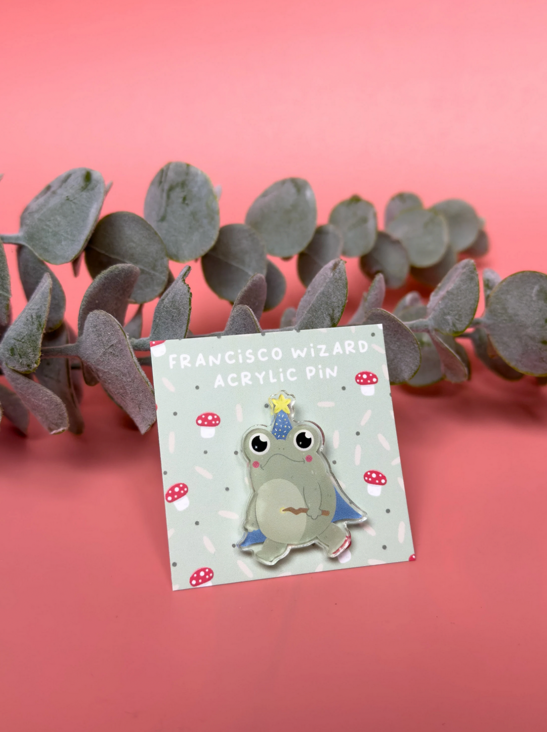 Little Bu Acrylic Pin - "Francisco The Frog" | Cute Kawaii Animal Enamel Pin | Magical Frog Lapel Pin